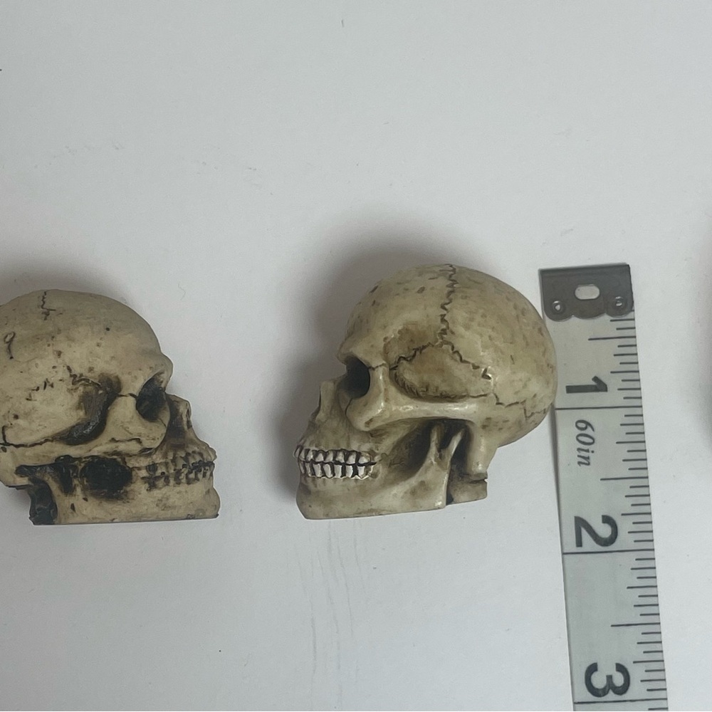Spooky Halloween Skull Design Mini Trinket Set - Picture 11 of 12